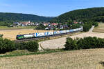 Am 17. Juli 2022 beförderte die von Ecco Rail angemietete 193 217 der ELL den KLV-Zug DGS 95693 von Triest nach Köln Eifeltor. Der Zug war einheitlich mit Aufliefern und Containern der türkischen Spedition Ekol beladen. Bei Breitenfurt im Altmühltal gelang eine Aufnahme.  