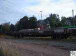 Rungenwagen (393 6 366-4) der Deutschen Bahn AG am 27. August 2007 im Coburger Gterbahnhof.