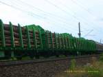 Solche grne Holztransportwagen waren am 11.07.08 in den von 145 045  gezogenen Gterzug eingereiht.