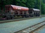 DB Cargo 694 8 751-6 auf Schmalspurschienen der HSB im Bf Eisfelder Talmhle; 11.08.2008