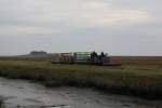 Lorenzug mit Lore 7 und 3 beladen Schafskisten, auf der Fahrt zum Festland, im Vorland der Hallig Nordstrandischmoor.