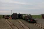 Und wieder Schafsverladung auf Hallig Nordstrandischmoor am 22.11.2014.