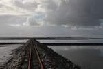 Während der Fahrt über den Lorendamm zur Hallig Nordtsrandischmoor entstand diese Aufn. am 10.10.2013. Im Hintergrund Nordtsrandischmoor mit seinen 4 Warften.