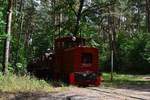 Am 24.7.18 zog Siegfried einen Personenzug durch die Wuhlheide.Mit dem Baujahr 1957 hat Siegfried ein stolzes Alter von 51Jahren.