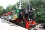 Die wunderschne grne Dampflok bei der Chemnitzer Parkeisenbahn