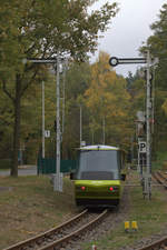 Obwohl die Formsignale nicht die Regelhöhe haben, wirken sie riesig gegenüber dem Triebzug 299 010 der Cottbusser Parkeisenbahn. 28.10.2018 12:44 Uhr.