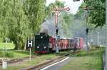 06.08.2016, Die Cottbuser Parkeisenbahn fuhr heute mit ihrer Dampflok 99 0001, der 1918 von Linke-Hofmann in Breslau für die Heeresfeldbahnen gebauten Brigadelok HF2257. Diese Lok zog 1954 den Eröffnungszug der damaligen Pioniereisenbahn.