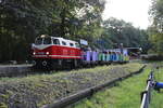 EL 9-002 der Parkeisenbahn Vatterode mit einem Zug zum Wippergrund, am 30.09.2023 im Bahnhof Mansfeld Schleife.