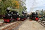 Internationales Feldbahntreffen bei der Waldeisenbahn Muskau am 14.10.2012  --  Aufstellung der Dampfloks zum Gruppenfoto  --  Weitere Fotos siehe auch in meinem http://www.Schmalspuralbum.de/ unter  Spezielle Themen > Internationale Feldbahntreffen > IFT 2012 ... 