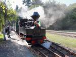 99 3317-7 rangiert im Bahnhof  Kromlau der Waldbahn Muskau am 03.