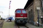 130 101-9 (BR 230) steht auf dem Gelände des DB Museums Halle (Saale) zur Nachtfotoveranstaltung am Wochenende des jährlichen Sommerfests.