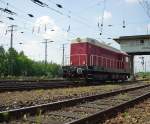 Lokparade im DB Museum Koblenz-Ltzel am 21.05.2011 zu dessen 10 jhrigen Bestehen. V75/107 018-4.  Die V75 war eine Diesel-elektrische Baureihe der deutschen Reichsbahn der ehem. DDR, die die Dampflokomotiven der Baureihe 80 im Rangierdienst ersetzen sollte. Da die DDR zu diesem Zeitpunkt noch keine Loks einkaufen durfte, wurden in den 50er Jahren 20 Fahrzeuge aus der Tschechoslowakei importiert. Das 750 PS leistende Dieselaggregat bertrgt seine Leistung elektrisch per Gleichstromgenerator und Gleichstromreihenschlussmotoren auf die vier Achsen. Hchstgeschwindigkeit betrgt 60 km/h. 