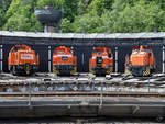 Orangetown - 4 Werkslokomotiven werden vor dem Rundhaus des Eisenbahnmuseums Bochum präsentiert. (Eisenbahnmuseum Bochum, Juni 2019)