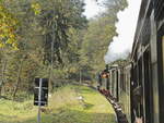 Einfahrt des Kuckucksbähnel mit der Lokomotive Speyerbach  in Breitenstein am 20. Oktober 2018.

2. Versuch 