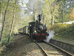 Kuckucksbähnel mit der Lokomotive Speyerbach  in Breitenstein am 20.