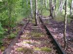 Berlin,Naturpark Schneberger Sdgelnde.berall sieht man noch die Reste von den Gleisanlagen,die sich die Natur zurckerobert hat.Bln.26.05.05