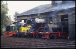 Lokparade vor dem Lokschuppen der Museumseisenbahn Hanau am 2.10.1994. U.a. mit 503673.