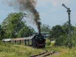 Lok 262 der Sauschwänzlebahn mit einem Museumszug kurz vorm Bahnhof Blumberg-Zollhaus. Aufgenommen im Juli 2018.