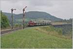 Die Diesellok 211 041-9 (92 80 1211 041-9 D-NeSA) verlässt mit ihrem  Morgenzug  die Talübergang Epfenhofen Brücke und erreicht den Bahnhof Epfenhofen. Die Talübergang Epfenhofen Brücke ist mit 264 Meter Länge die längste Brücke der Sauschwänzlebahn und soweit ich gesehen habe auch die imposanteste Brücke der Strecke.

27. August 2022