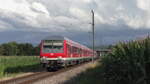 DB 111 189 schiebt am 25.07.2021 ihren Murgtäler Radexpress von Freudenstadt nach Ludwigshafen am Rhein. Hier fährt wird der Wittenberger Steuerwagen gerade durch die Maisfelder kurz vor Rastatt Beinle.