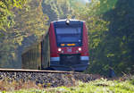 620 041 S23 (Bad Münstereifel - Bonn) taucht im leichten Dunst aus einem Waldstück bei Eu-Stotzheim auf - 31.10.2019