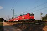 Mit einer RB (Offenburg - Basel Bad Bf) fährt die Freiburger 146 114-4  Baden Württemberg erfahren/Landkreis Emmendingen  am 13.09.2016 bei Müllheim (Baden) in Richtung Schweizer