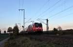 Einfahrt am 09.11.2013 von 146 110-2  Müllheim (Baden)  mit einem RE nach Basel Bad Bf in die Bahnhofsanlagen von Müllheim (Baden).