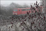 Raureif und Nebel -

Regionalexpress Aalen - Stuttgart im Remstal zwischen Weinstadt-Endersbach und Kernen-Rommelshausen.

06.12.2016 (M)