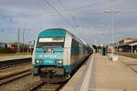 Alex 223 063 (92 80 1223 063-9 D-DLB) mit dem RE 79860 nach München Hbf, am 03.10.2023 in Hof Hbf.