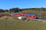 In der kahlen schneelosen Winterlandschaft bei Fahlenbach setzte der 445 091 als RB 59151 von Treuchtlingen nach München Hbf am 27. Januar 2024 einen kräftigen Farbakzent.