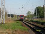 VT 650-03 der Prignitzer Eisenbahn Gesellschaft auf der Fahrt von Berlin Lichtenberg nach Templin Stadt nchster Halt ist Grneberg