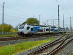 ODEG 4746 304 als RE10 kurz vor der Ankunft am Bahnhof Züssow. (November 2020)