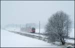 Auf dem Weg von Rostock nach Sassnitz fegt ein unerkannt gebliebener 429er als RE 13011 am 17.12.10 durch die winterliche Einöde bei Kummerow. 