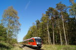 05.05.2016; 15:52Uhr..... Der Desiro ist mehr oder weniger das einzige Fahrzeug, das man planmäßig auf der KBS185 Wismar-Tessin antrifft. Damit keine lange Weile aufkommt, versuche ich oft, Bahn und Natur zu verbinden, was mir wie ich glaube, in diesem Bild ganz gut gelungen ist. Die Aufnahme entstand im 'Panzower Wald' nahe Neubukow. Der Triebwagen befindet sich derzeit auf Höhe 'Neubukow Obere Weiche'. Hier befand sich einmal der Anschluss der 'Neubukower Rübenbahn' welche 1946 als Reparationsleistung demontiert wurde. Links hinter der Birke, weg vom Betrachter, findet man heute noch die Reste der einstigen Schüttrampe.