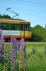 Am frühen Morgen des 04.06.2019 konnte im Bereich des Bienenzüchterweges zwischen Spielberg und Ittersbach der Tw 587 als S 20015 (RITBR - RHOS) aus einer etwas ungewöhnlicheren