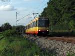 01.10.2010: TW 828 als S9 von Bruchsal nach Bretten. Aufgenommen bei Helmsheim.