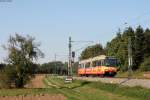 817 als S9 nach Bretten bei Helmsheim 1.10.15