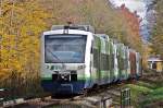 Herbst am Kaiserstuhl: Die Breisgau-S-Bahn mit vier RS 1 bei Gottenheim