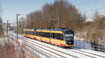 Doppeltraktion ET 2010 als S4 nach Schwaigern West am 11.02.2021 bei Öhringen-Cappel. 