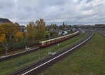 Am 08.11.2023 war ein unbekannt gebliebener Dreiviertelzug der BR 481 auf der S25 auf dem Weg von Hennigsdorf nach Teltow Stadt. Den Bahnhof Bornholmer Straße hat der Zug gerade hinter sich gelassen und nähert sich dem Bahnhof Gesundbrunnen.