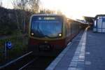 BERLIN, 12.11.2008, S1 nach Frohnau im S-Bahnhof Wollankstraße