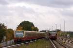 Ein 3/4-Zug der BR 481 fhrt am 15.10.2013 als S9 ->Pankow in den Bahnhof Adlershof ein. Rechts verlsst soeben ein Halbzug der BR 480 die Station