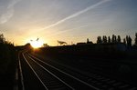 Einmal Richtung Sonne hieß es am Morgen des 29.10.2016 für 481 020-6 als S7 von Berlin Friedrichstraße nach Ahrensfelde bei der Ausfahrt aus Berlin Ostkreuz.