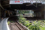 Licht und Schatten im S-Bahnhof - 

...und ein bisschen Grün zwischen den Gleisen. Im Hintergrund fährt ein S-Bahnzug der Baureihe 483/484 auf der Ringlinie S42 in die Station ein.

Berlin, Schönhauser Allee, 14.07.2023 (M)