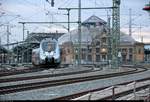 Nachschuss auf 1442 177 (Bombardier Talent 2) der S-Bahn Mitteldeutschland (MDSB II | DB Regio Südost) als S 37849 (S8) von Lutherstadt Wittenberg Hbf nach Halle(Saale)Hbf, die sich vor ihrem