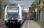 Abfahrt einer S-Bahn -

... der Linie S2 in Richtung Schorndorf an der Haltestelle Stetten-Beinstein in Weindstadt-Endersbach. Die neueren Züge der Baureihe 430 erkennt man äußerlich an der anderen Aufteilung der Beleuchtung. Nur die unter Hälfte dient den Rücklichtern, die obere dem Tagfahrlicht. Vorher gingen beide über den gesamten Beleuchtungskörper. Nicht die Farbe der Züge ist entscheidend; es gibt auch verkehrsrote S-Bahnen der neuen Generation. Da die alten mit den neuen nicht gekuppelt werden können, erklärt sich so auch die gemsichtfarbenen Züge.

Interessant finde ich bei der Aufnahme auch den Blick entlang der Seite des Zuges.

25.02.2024 (M)