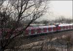 Knospen am Baum -

Im Mittelgrund ein S-Bahnzug der Baureihe 430 auf der Fahrt in Richtung Filderstadt zwischen Endersbach und Rommelshausen im Remstal.

12.03.2015 (Matthias)