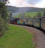 SDG1005 mit 99 794 zwischen Cranzahl und Unterneudorf, 31.7.010.