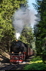 99 7232 mit einem Personenzug zum Brocken am 1.