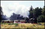 997244 erreicht hier am 7.9.1991 um 13.21 Uhr mit dem P 14442 aus Benneckenstein Drei Annen Hohne.